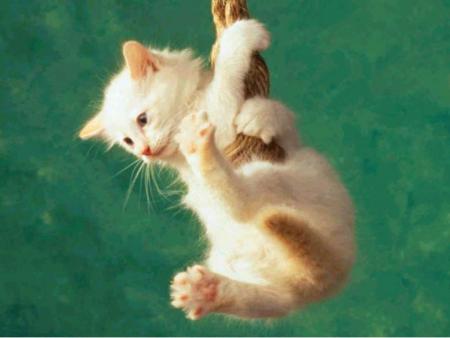au secours