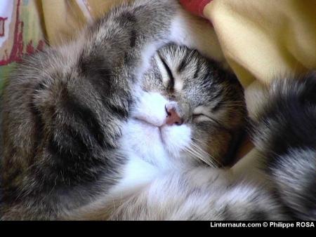 laisser moi tranquille