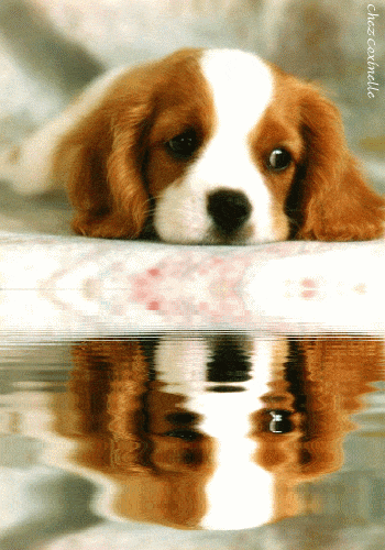 abandonner ???