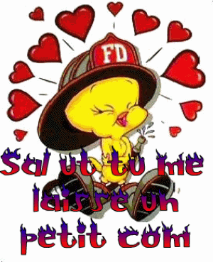 un petit  com