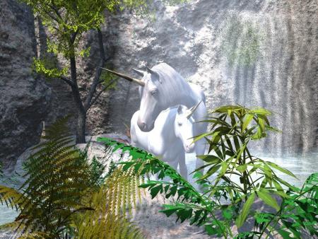 paradis ???