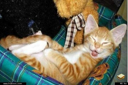 bien couche