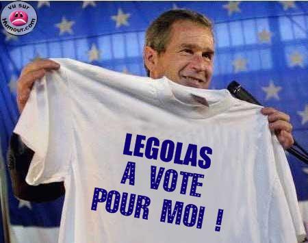 vote