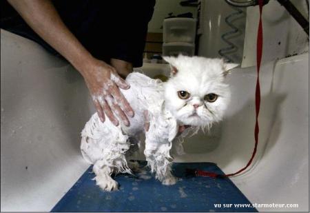 un bon bain