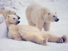 se reposer