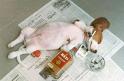 chien saoul