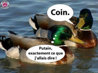 drole